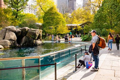 Visiting the Central Park Zoo (Local's Guide) (2026 Guide)