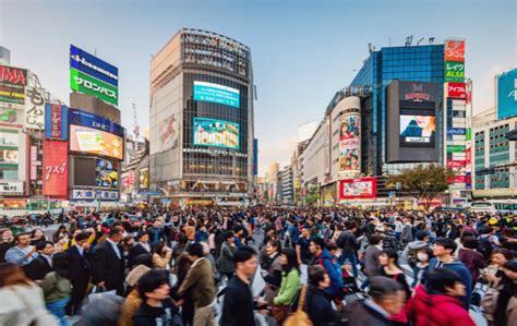 Japan Tourism 的图像结果