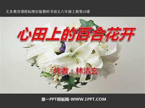 《心田上的百合花》PPT课件5 - 第一PPT
