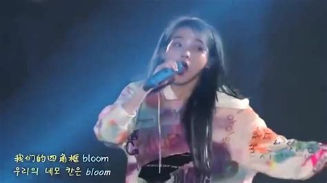 这才是南韩第一女solo！-bilibili(B站)无水印视频解析——YIUIOS易柚斯