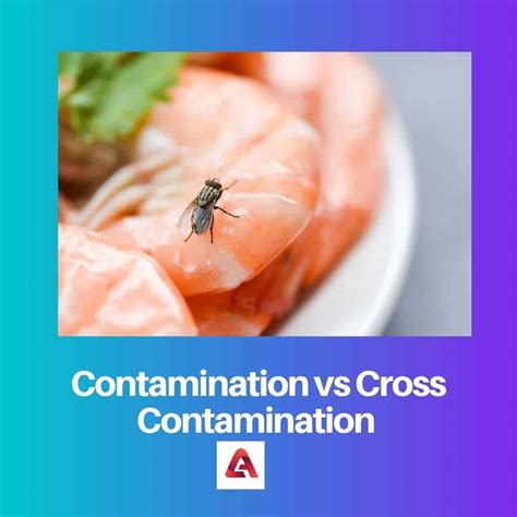 Contamination vs Cross Contamination: Difference and Comparison