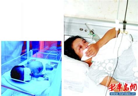“血型室”的奥秘：揭秘“真假熊猫血”_血液知识_血液科普_徐州市红十字血液中心