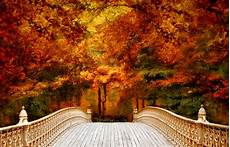 Gold High Quality Fall Backgrounds by October Wallpapers High Quality Free Gold High Quality Fall Backgrounds