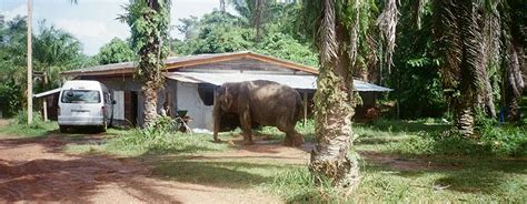 Unforgettable Safari Adventure | Shettihalli Wildlife - 2025 (Updated)