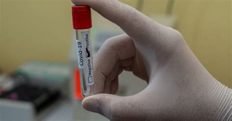 Image result for PCR Test Problems