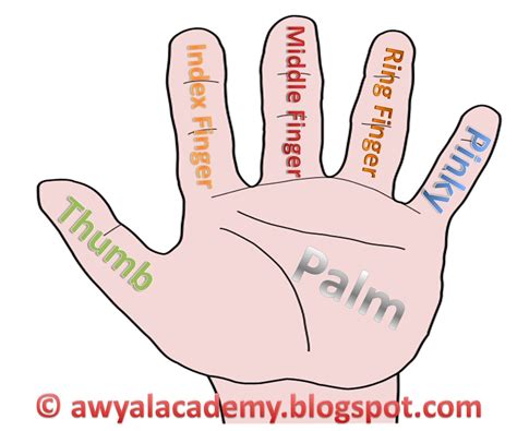 Which Finger Is Not A Finger at Michael Hammons blog