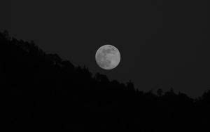 Wallpaper moon, trees, bw, forest, sky hd, picture, image