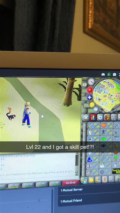 Optimal quest guide : r/osrs