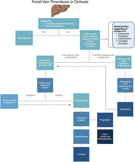 Frontiers | Portal vein thrombosis in cirrhosis: A literature review