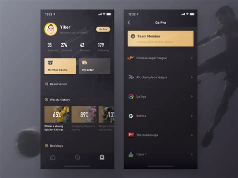 Vip Level by JianPZ on Dribbble Ui Ux Design, Page Design, Sports ...