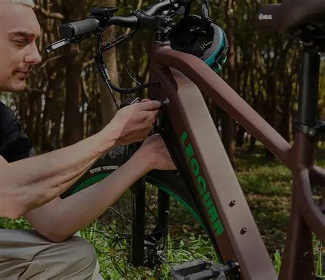 Electric Bike Display Settings 的图像结果