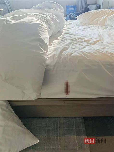 夫妻入住南京五星级酒店，发现床单上有大片“血迹”？当事人：酒店想签霸王协议和解_邹先生_房间