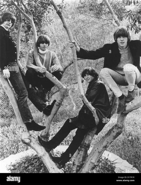 THE BYRDS Promotional photo of US pop group about 1965. From l: Roger ...