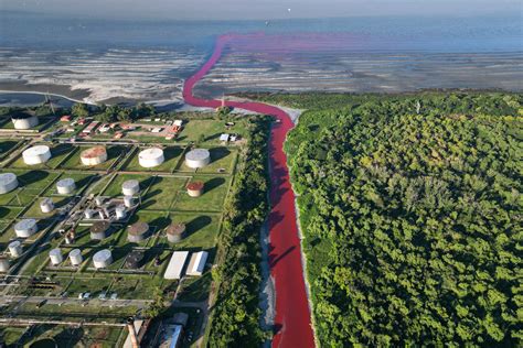 River near Buenos Aires turns red, amid fears of toxic pollution ...