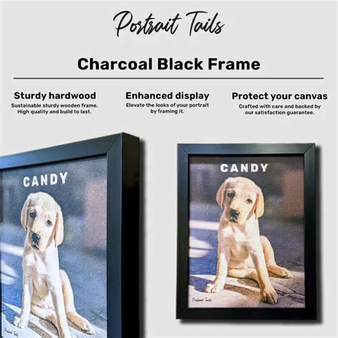 SpiderPet – Portrait Tails