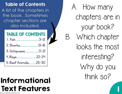 Information Text Features 的图像结果