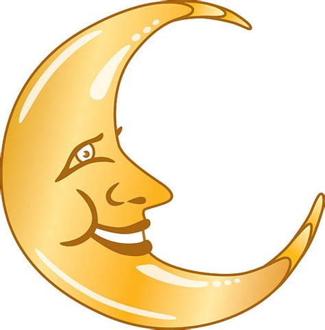 Image result for Idle Python Face Moon