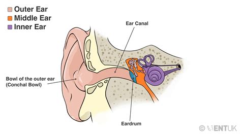 Self-help tips: itchy ears and earwax build-up | ENT UK