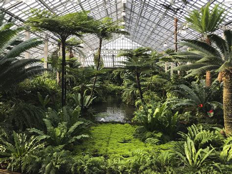 Garfield Park Conservatory - Chicago - LocalWiki