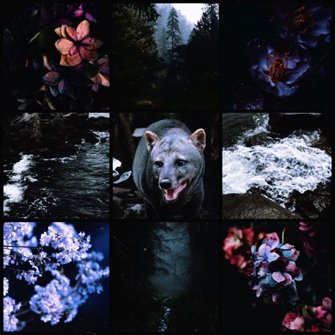 Dark Floral Short-Eared Dog Moodboard