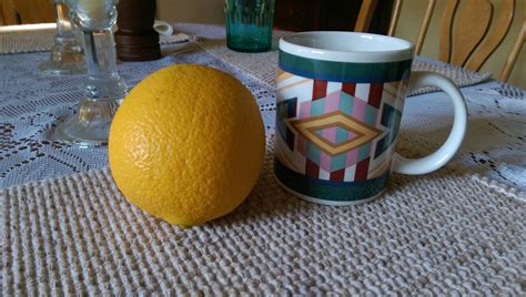 PSA: Large Navel Oranges = 258 g = 126 calories : loseit