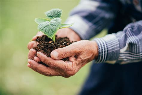 About Heartwood Lodge | Trinity Health System