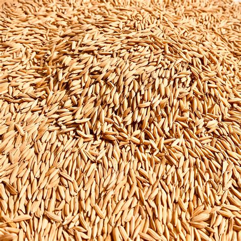 Mysore Mallige Rice-Jasmine Rice-Kannada-1 Kg – Vintage Farmers