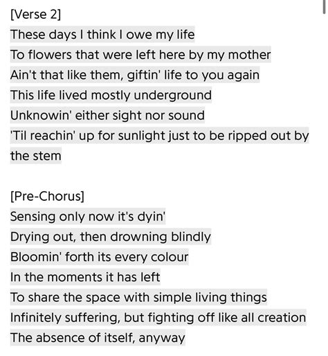 Verse 2 and pre-chorus in “First Time” is basically just poetry : r/Hozier