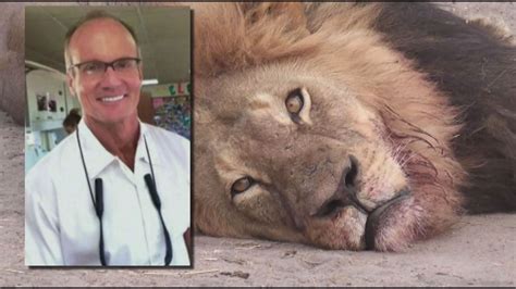 Walter Palmer's boat stolen, wrecked | kare11.com