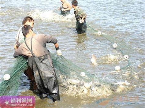捕鱼人零下十几度下水冬捕 30斤头鱼卖出16888元 _深圳新闻网