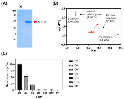 Identification, Characterization, and Preliminary X-ray Diffraction ...