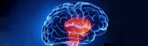 best hospital for neuro surgery | Neuro Specialist Hospital