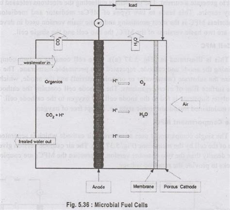 Recent Advances in Sewage Treatment