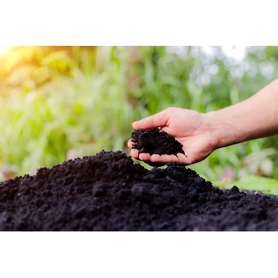 Premium Vermicompost Fertiliser for Healthy and Sustainable Gardens ...