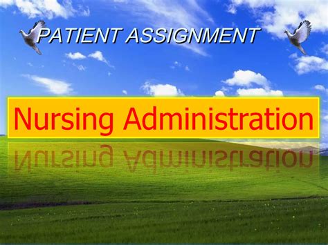 Nursing Assignment 的图像结果
