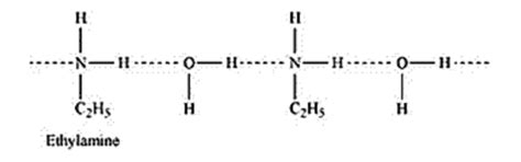 NCERT Solutions for Class 12 Chemistry Chapter 13 Amines PDF - eSaral