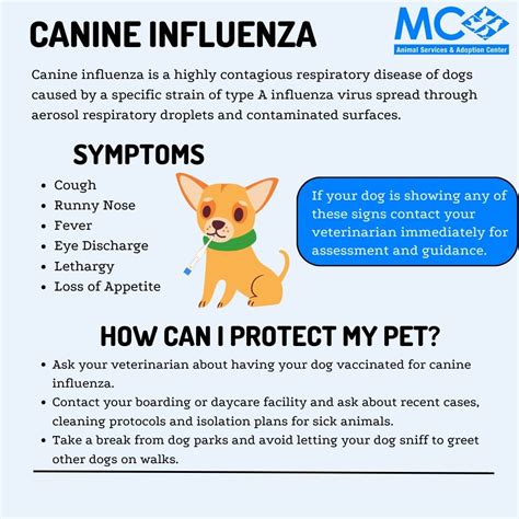 Canine Influenza Virus
