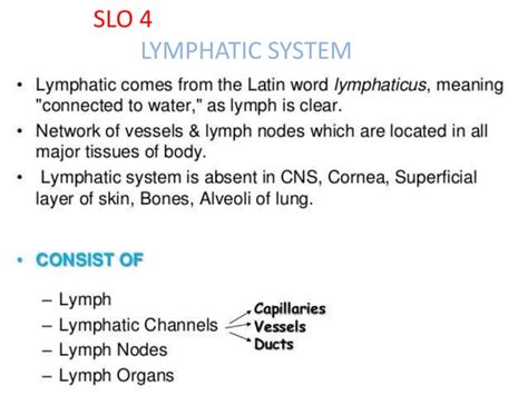 Image result for How Is Lymph Formed