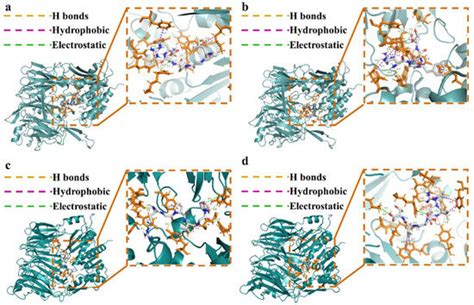 Uncovering Novel DPP-IV Inhibitory Peptides from Amphibian (Lithobates ...