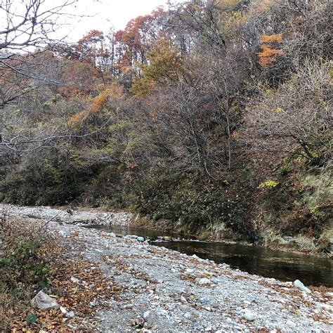 SAKUNAMI MOUNTAIN STREAM FISHING FIELD (2026) All You Need to Know ...