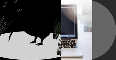 Image result for What Is the App for Python