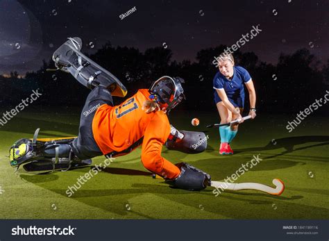 Hockey Goalie 的图像结果