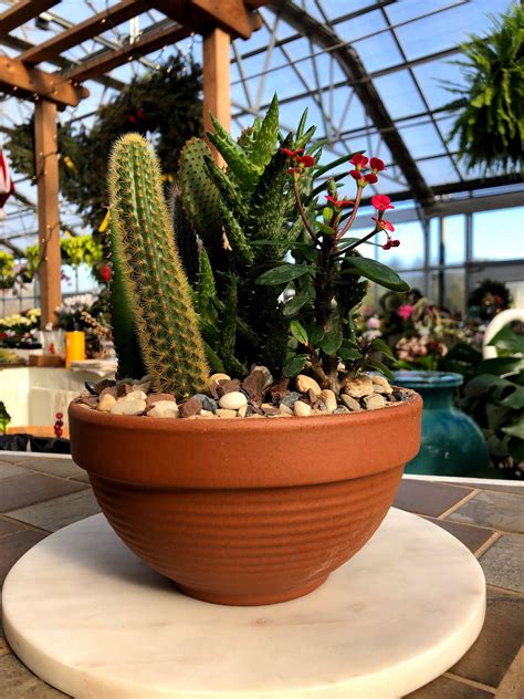 Annuals & Perennials – Gardner's Landscape Nursery