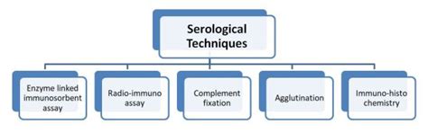 Serological and molecular marker analysis in infectious disease ...