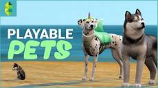 Make Your Pet A Part Of Your And Home A Few Ideas For How To Make Your Apartment Ready For A Guest by Playable Pets Mod The Sims 4 Cats Dogs Make Your Pet A Part Of Your And Home A Few Ideas For How To Make Your Apartment Ready For A Guest
