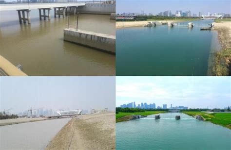 中国发布|筑牢“生态坝”试点智慧水利 杭州河道这样从浊水变清流-中国网