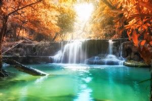 KD Waterfall scenery Sticker Poster|Beautifull waterfall Paper Print ...