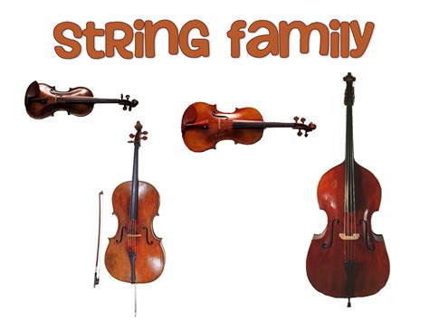 Orchestra String Instruments 的图像结果