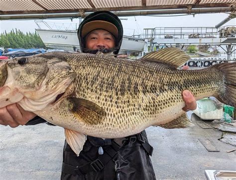 LAKE BIWA INTERNATIONAL FISHING GUIDE AND CHARTER (2026) All You Need ...