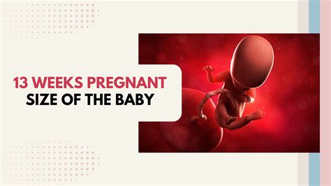 13 Weeks Pregnant: Body Changes, Symptoms, and Fetal Growth